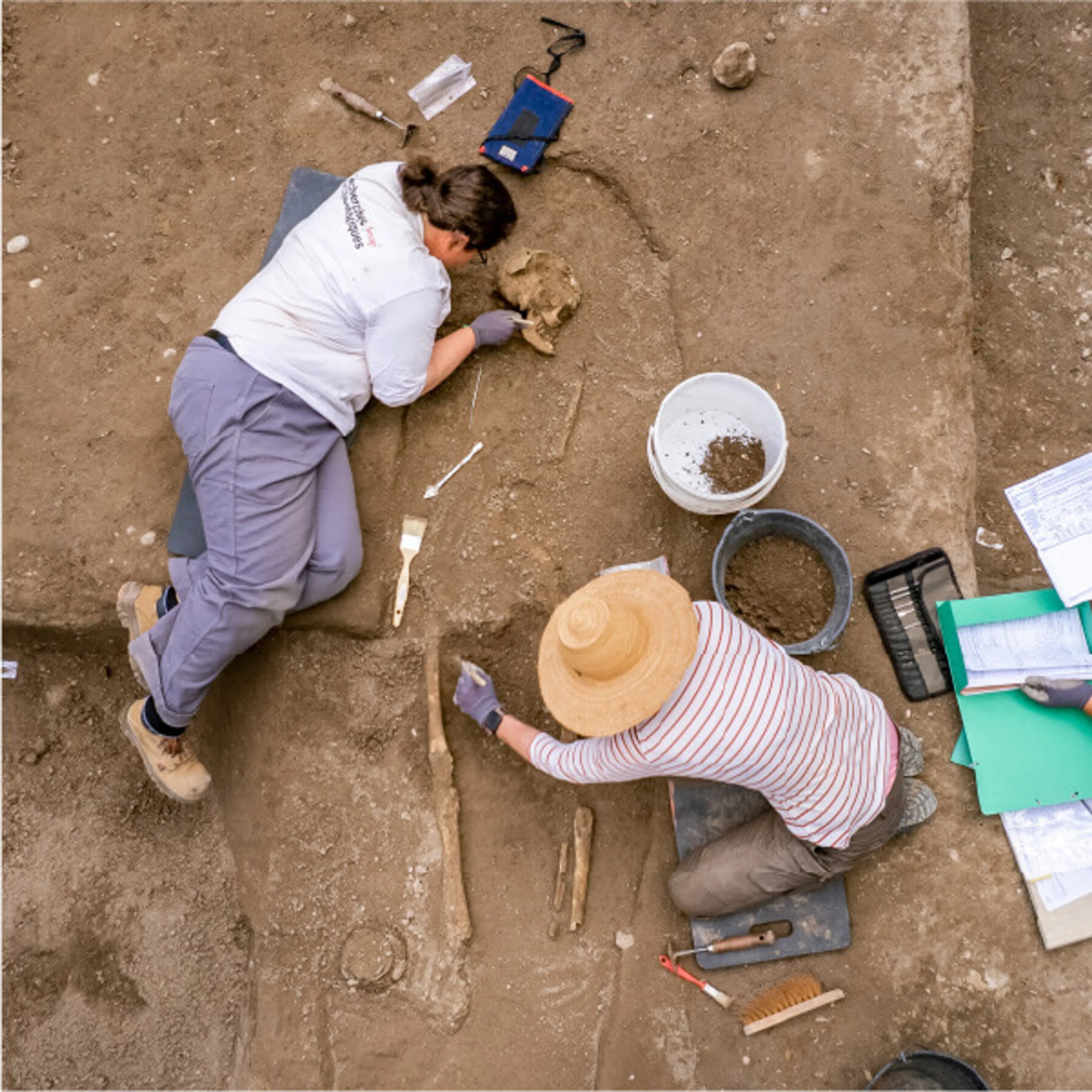 Vignette page : Demain